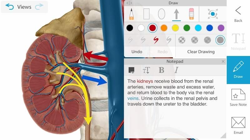 download human anatomy atlas 2021 mod apk