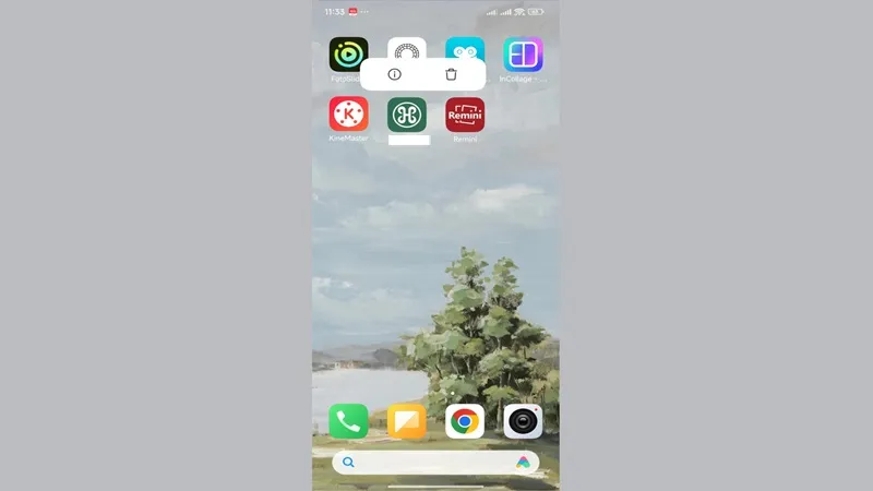 fix remini